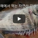 장항동횟집민박 이미지