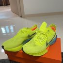 염편한세상 이미지