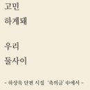 사이야 Daum카페