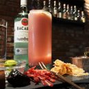 리트코 | 타로맨스 강남 칵테일바 | 별종 칵테일바 입덕 후기