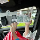 J-030 | 하와이 호놀룰루 7박 8일 태교여행 후기 Part 1 : 쉐라톤 와이키키, 파타고니아, 호오말루히아 식물원...