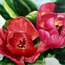 보태니컬&팝아트 이미지