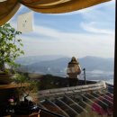 하얀낭만 이미지