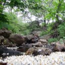 느랭이골자연리조트 이미지