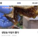 생방송 ~ 아침이 좋다(kbs2 이미지