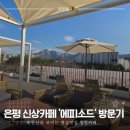더 조은 정비 | 은평 신상카페 &#39;에피소드&#39; 방문기, 북한산뷰 보이는 햇살 맛집 힐링 카페