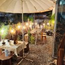 라라와 케이 이미지