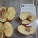 롯데마트 춘천점 이미지