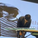 집둥이 창모오빠의 귀빠진 날♥ 그리고 인생 첫 팬미팅 후기. ※오글 주의※ 들어봐 우리 얘기.