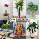 덕수꽃집 | 서울 꽃집 추천 미미의가든 업체 정보 후기