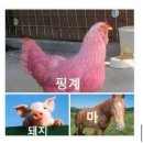 계룡로6길 | 청춘과 힐링, 그 사이의 균형. 난 갈테야갈테야 빵집에 갈테야(feat. 대전 피타파티🤘🏻)