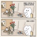 투슬리스에게 보내는 ˖◛⁺⑅♡ 이미지