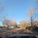 매남이길 | 백운계곡 글램핑장 동계 솔직후기 / 내돈내산후기