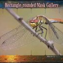 Rectangle_rounded Mask Gallery 이미지
