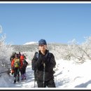 한라산(성판악-백록담-관음사)눈꽃산행및 제주도 관광(1월14일-15일.1박2일) 이미지