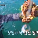 연도민박 이미지