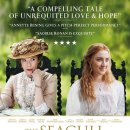 진갈매기 이미지