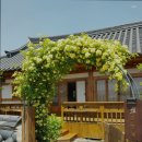 라연재