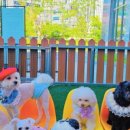 유폴 평택지제역점 이미지