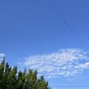 맘스터치신탄진점 이미지