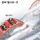 개코 | Los Angeles에 갑자기 나타난 Angel채연