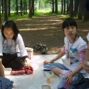 성포 초등학교 이미지