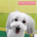 동래종합동물병원 이미지