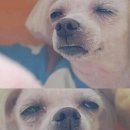 터져라PC 이미지