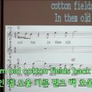 [올드팝송] 17. Cotton Fields(가사해석&소절별&전곡 부르기) 이미지