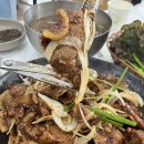 토실배기 이미지