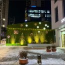 조경설계디자인트리 | 스타벅스 앞 크리스마스 트리 벽면조경 야외 포토존 시공 후기