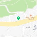 노랑꼬마깁밥