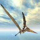 프테라노돈 이미지