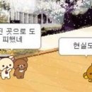 두영철내과의원 네이버블로그