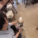 우석대박집