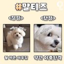 언커먼빈티지 이미지