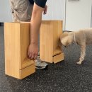 올 마스터 독 이미지