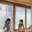 당리태권도 | 하단키즈발레;사하구 유아, 초등학생 자세교정, OX다리교정(후기사진있어요)