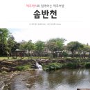 솜반내(솜반천) | 제주도 서귀포 아이들과 물놀이하기 좋은 곳 <솜반천>