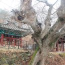 송집수효자각 이미지