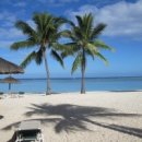 파라다이스 이미지