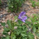 호텔오월로 이미지