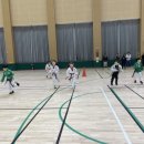 신주례태권도체육관 이미지