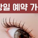 오늘도클로버