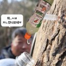 리미지건축사사무소 이미지