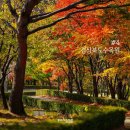 여주-0764 | 가을 단풍 명소 - 전국 단풍 명소 추천 5곳, 기상청 단풍 현황