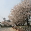 현경고등학교 이미지