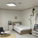 스테이코 이미지