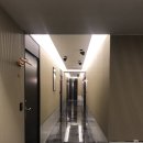 브라운도트사상르네시떼점 이미지