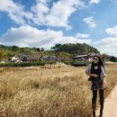 순천만 갈대밭 호스텔 이미지